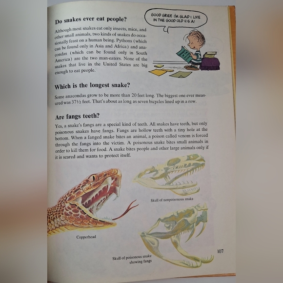 1980 Charlie Brown's 'Cyclopedia: Super Questions and Answers and Amazing Fact - Picture 4 of 4